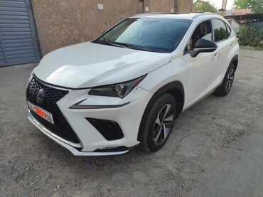 lexus nx: Lexus NX: 2018 г., 2 л, Автомат, Бензин