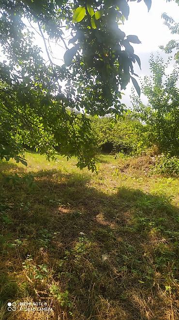 bağ ev: Gəncə, 4 kv. m, 1 otaqlı, Hovuzsuz, Su — 5