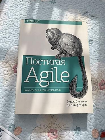ретрит: Книга «Постигая Agile: ценности, принципы, методологии» Авторы — 1