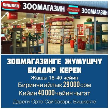 аламедин базар работа: ТЕЗ АРАДА ЗООМАГАЗИНГЕ ЖУМУШЧУ БАЛДАР КЕРЕК Жашы 18-40 чейин 6 ай