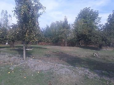 Torpaq sahələrinin satışı: 40 sot, Tikinti, Mülkiyyətçi, Kupça (Çıxarış) — 20