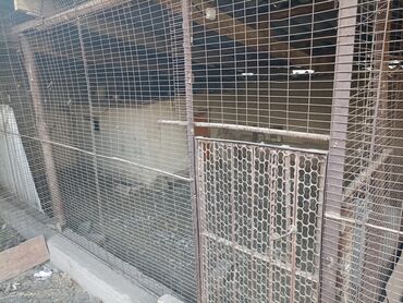 Продажа домов: Дом, 170 м², 6 комнат, Собственник, Косметический ремонт — 30