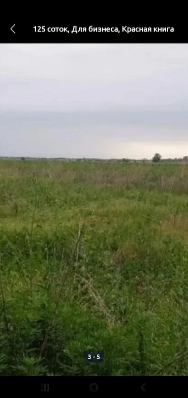 аренда спорт зала бишкек: 4500 соток Айыл чарба үчүн
