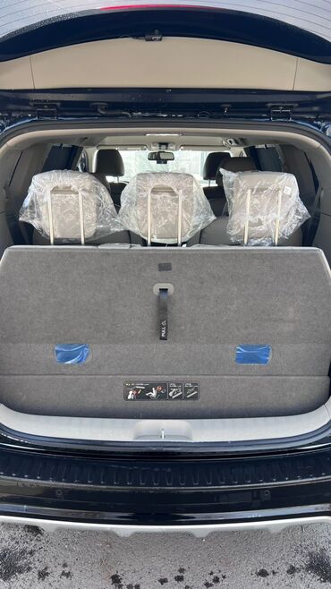 Kia: Kia Carnival: 2018 г., 2.2 л, Автомат, Дизель, Минивэн — 10