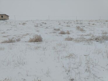 Продажа участков: 750000 соток, Для строительства, Красная книга — 5