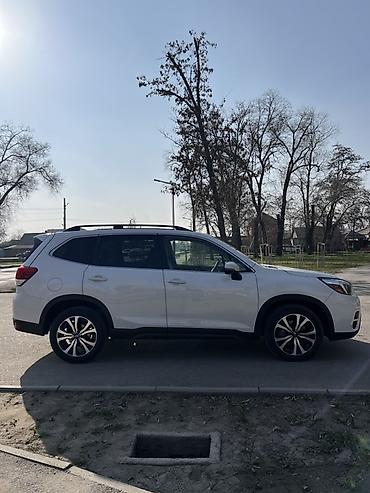 Subaru: Subaru Forester: 2020 г., 2.5 л, Вариатор, Бензин, Кроссовер — 2
