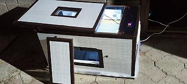 волнистый попугай: Продается Новые Инкубаторы!!! - Автомат - Полуавтомат - Ручной - 150 — 3