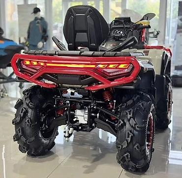оптовая: Loncin Xwolf 1000L Mud Утилитарный квадроцикл китайского — 5