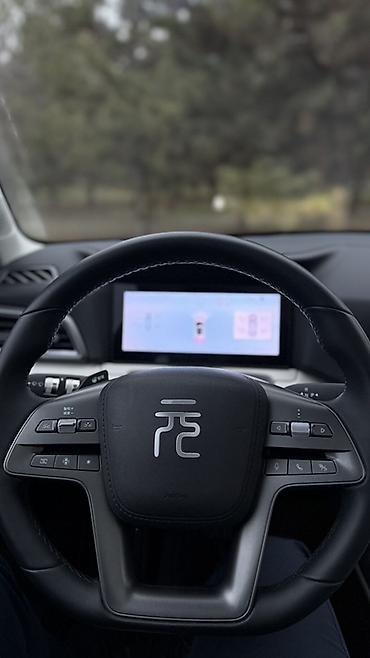 BYD: BYD Yuan Up: 2025 г., Автомат, Электромобиль, Кроссовер — 12