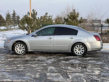 Nissan: Nissan Maxima: 2004 г., 3.5 л, Автомат, Бензин, Седан — 6