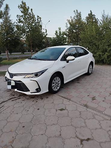 привязка ключей: Toyota Corolla: 2021 г., 1.8 л, Автомат, Гибрид, Седан — 4