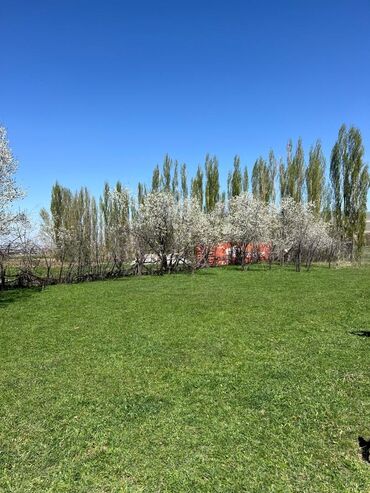 аренда земельного участка под бизнес: 10 соток, Курулуш, Кызыл китеп