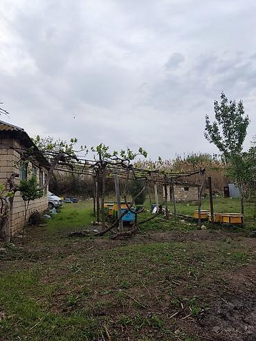 daşınmaz əmlak satışı: 3 otaqlı, 100 kv. m, Kredit yoxdur, Təmirsiz — 5