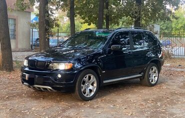 x5 g05: BMW X5: 2002 г., 4.4 л, Автомат, Бензин, Внедорожник