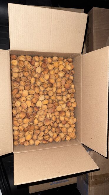 пленка для клубники цена бишкек: Абрикосы В розницу