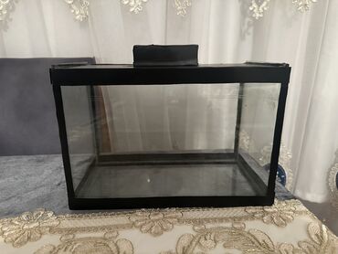 купить аквариум: Dördbucaq akvarium, Boş, 9 l, Ödənişli çatdırılma