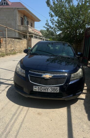 Tecili satılır 
Real alıcı zəng etsin