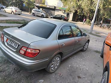 bluebird: Nissan Sylphy: 2002 г., 1.8 л, Автомат, Бензин, Седан — 8
