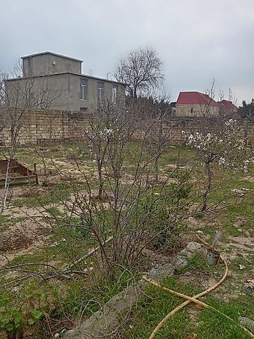 10 sot: 4 sot, Tikinti, Makler, Kupça (Çıxarış) — 2
