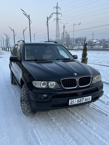 BMW: BMW X5: 2004 г., 3 л, Автомат, Дизель, Внедорожник