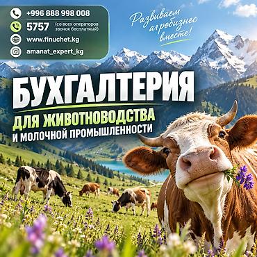 Бухгалтерские услуги | Подготовка налоговой отчетности, Сдача налоговой отчетности, Консультация