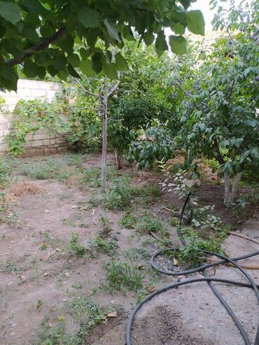 Həyət evləri və villaların satışı: 5 otaqlı, 120 kv. m, Yeni təmirli -da lalafo.az — 12 Həyət evləri və villaların satışı: 5 otaqlı, 120 kv. m, Yeni təmirli — 12