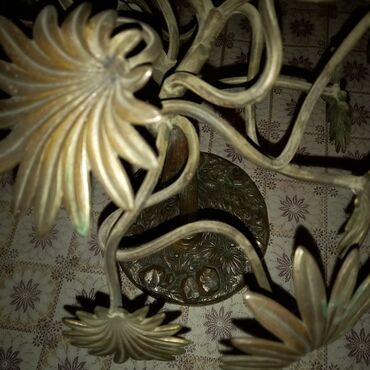 Fiqurlar: Fiqur — 19