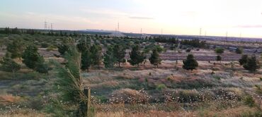 Torpaq sahələrinin satışı: 22 sot, Kənd təsərrüfatı, Mülkiyyətçi, Texniki pasport — 9