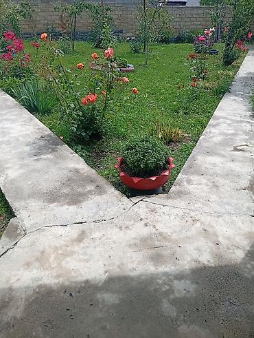 Günlük kirayə evlər: 100 kv. m, 3 otaqlı — 4