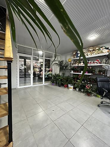 Продажа коттеджей и домов: Продается участок + Дом с торговым помещением на первой линии 🔥🔥🔥 📍 — 5