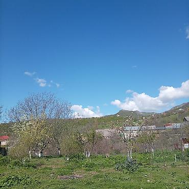 Torpaq sahələrinin satışı: Kənd təsərrüfatı — 3