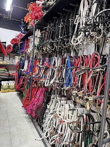 Другие животные: Ат жабдыктар — 5