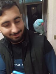 Balıqlar: Tam əl quşu heyvan səsləri çıxarır qətiyyən dişləmir