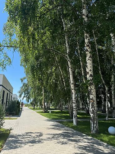 випка каракол: Гостевой дом на Иссык-Куле, Атлантис, Сары-Ой, 4 места — 2