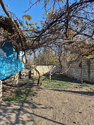 Həyət evləri və villalar: 14 sot torpaq sahesinin içinde yaşayışlı ev köhnə tikili 2yataq otaq 1 — 5