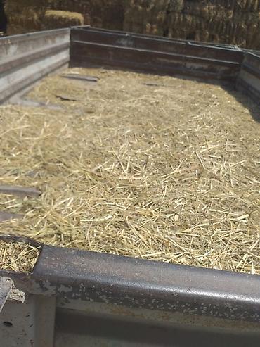 Traktorlar: Traktor Belarus (MTZ) 28, 1920 il, 2200 at gücü, motor 1.8 l, İşlənmiş — 10