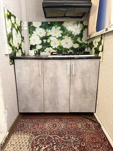 Кухонные гарнитуры: Кухонный гарнитур — 2