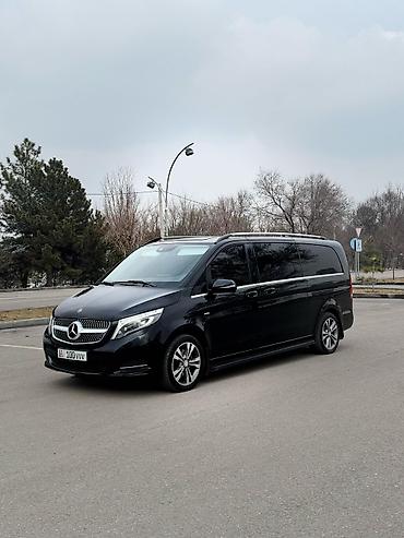 водител: Сдаю Mercedes-Benz S-Class для кортежа, С водителем, Седан — 4