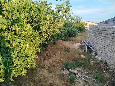 Torpaq: 4 sot, Tikinti, Mülkiyyətçi, Kupça (Çıxarış) — 4