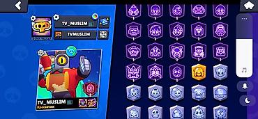 акк бф: Игровой аккаунт BRAWL STARS 47170 кубков создана 2024 года 105/106 — 6