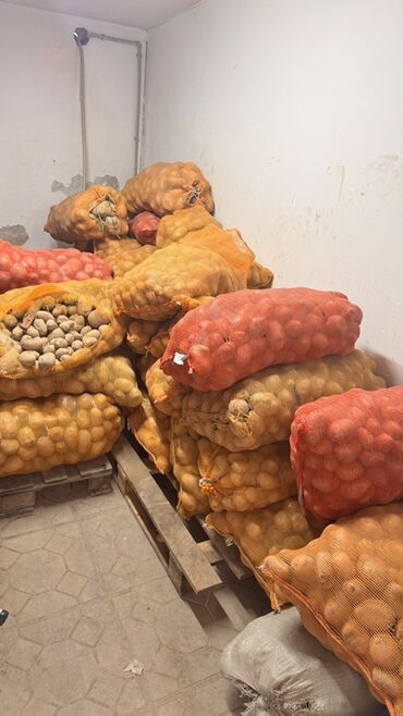 купить мешки для картофеля: Овощи в мешках/сетках оптом. В наличии: - Картофель в оранжевых
