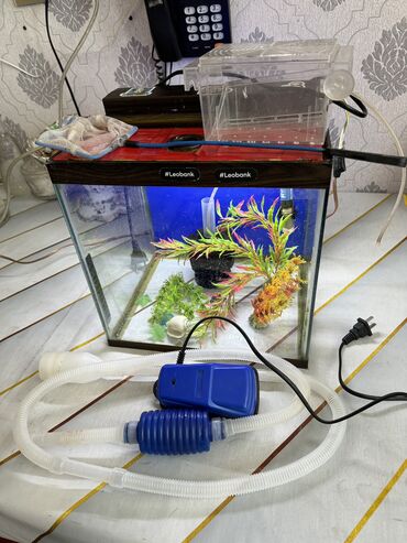 akvarium qızdırıcı: Tutumu 20Litr. İçərisində su filtiri qızdırıcı termometri