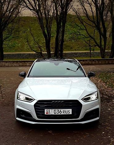 стейдж: Audi A5: 2019 г., Лифтбек — 2
