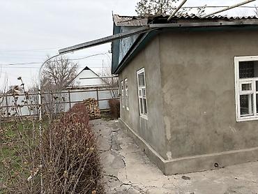 Продажа коттеджей и домов: Продается участок с домом и двором в селе Беловодское, огороженный — 9