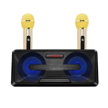 portable evd: SDRD SD-301 - bluetooth колонка-караоке с беспроводными микрофонами