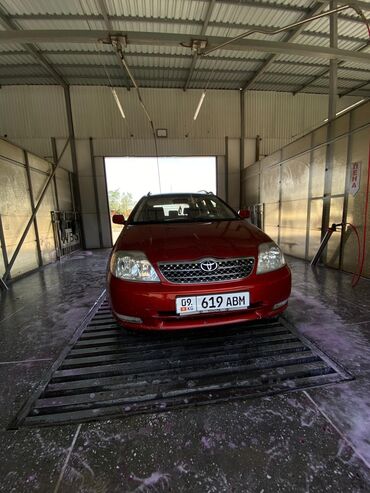 Toyota: Toyota Corolla: 2002 г., 1.6 л, Механика, Бензин, Универсал