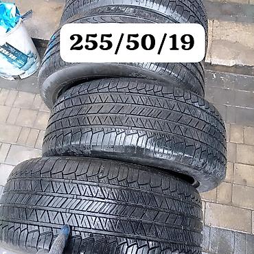 Təkərlər: Təkər — 10