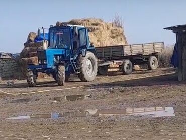 traktor altlıqlı ağ bosonojkalar: Трактор