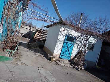 Продажа коттеджей и домов: ПРОДАЁТСЯ ДОМ С УЧАСТКОМ 1 ГЕКТАР В СЕЛЕ Григорьевка (район пристани) — 20