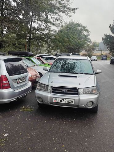 субару форестер амортизаторы: Subaru Forester: 2003 г., 2 л, Автомат, Бензин, Кроссовер